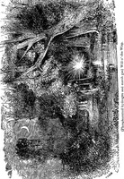Picture 184 of 386 from Scientific amusements (1890), leaf 284