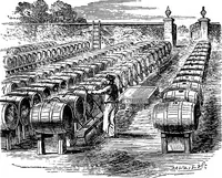 An illustration from Scientific amusements (1890)