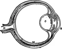 Picture 239 of 386 from Scientific amusements (1890), leaf 405