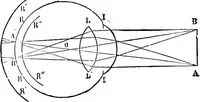 Picture 240 of 386 from Scientific amusements (1890), leaf 407