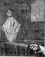 Picture 17 of 386 from Scientific amusements (1890), leaf 41