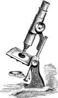 Picture 275 of 386 from Scientific amusements (1890), leaf 478