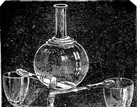 Picture 22 of 386 from Scientific amusements (1890), leaf 50