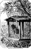 Picture 317 of 386 from Scientific amusements (1890), leaf 577