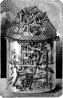 Picture 318 of 386 from Scientific amusements (1890), leaf 578