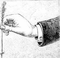 Picture 333 of 386 from Scientific amusements (1890), leaf 609