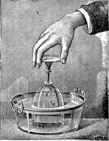 An illustration from Scientific amusements (1890)