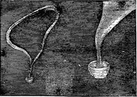 Picture 39 of 386 from Scientific amusements (1890), leaf 70