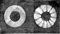 Picture 41 of 386 from Scientific amusements (1890), leaf 71