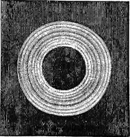 Picture 42 of 386 from Scientific amusements (1890), leaf 71