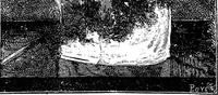Picture 49 of 386 from Scientific amusements (1890), leaf 80