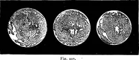An illustration from The heavens above: a popular handbook of astronomy (1882)