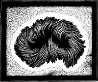 An illustration from The heavens above: a popular handbook of astronomy (1882)