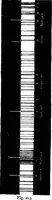 An illustration from The heavens above: a popular handbook of astronomy (1882)