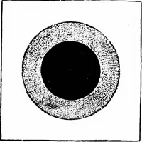 An illustration from The heavens above: a popular handbook of astronomy (1882)