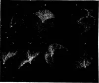 Picture 240 of 348 from The heavens above: a popular handbook of astronomy (1882), leaf 305