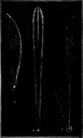 An illustration from The heavens above: a popular handbook of astronomy (1882)