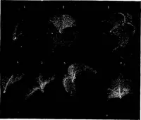 An illustration from The heavens above: a popular handbook of astronomy (1882)