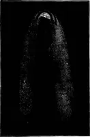 An illustration from The heavens above: a popular handbook of astronomy (1882)
