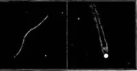 An illustration from The heavens above: a popular handbook of astronomy (1882)