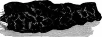 An illustration from The heavens above: a popular handbook of astronomy (1882)