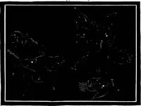 Picture 293 of 348 from The heavens above: a popular handbook of astronomy (1882), leaf 366