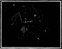 Picture 301 of 348 from The heavens above: a popular handbook of astronomy (1882), leaf 371