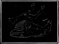 Picture 303 of 348 from The heavens above: a popular handbook of astronomy (1882), leaf 372