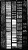 An illustration from The heavens above: a popular handbook of astronomy (1882)