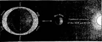 Picture 66 of 348 from The heavens above: a popular handbook of astronomy (1882), leaf 90