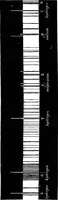 An illustration from Lectures on some recent advances in physical science with a special lecture on force (1876)