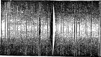 Picture 11 of 17 from Lectures on some recent advances in physical science with a special lecture on force (1876), leaf 259