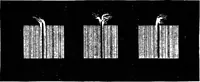 Picture 12 of 17 from Lectures on some recent advances in physical science with a special lecture on force (1876), leaf 269