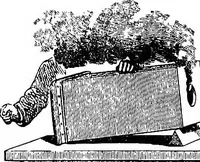 Picture 14 of 17 from Lectures on some recent advances in physical science with a special lecture on force (1876), leaf 319
