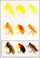 An illustration from Specimen book of the Norwood Press, showing samples of hand and machine type equipment and presswork in black and colors; (1916)