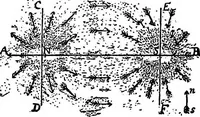 An illustration from A course of experiments in physical measurement (1897)