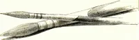 An illustration from The art of sketching from nature (1871)