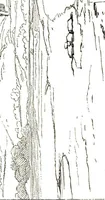An illustration from The art of sketching from nature (1871)