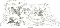 An illustration from The art of sketching from nature (1871)