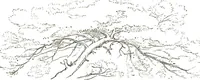 An illustration from The art of sketching from nature (1871)