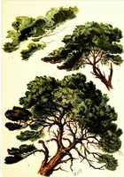 An illustration from The art of sketching from nature (1871)