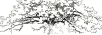 An illustration from The art of sketching from nature (1871)