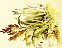 An illustration from The art of sketching from nature (1871)