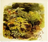 An illustration from The art of sketching from nature (1871)