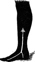 An illustration from The heritage of dress; being notes on the history and evolution of clothes (1908)