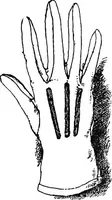 An illustration from The heritage of dress; being notes on the history and evolution of clothes (1908)