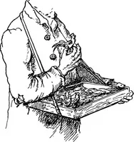 Picture 85 of 160 from The heritage of dress; being notes on the history and evolution of clothes (1908), leaf 146