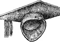 Picture 123 of 160 from The heritage of dress; being notes on the history and evolution of clothes (1908), leaf 265