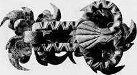 Picture 52 of 144 from Spanish ironwork (1915), leaf 134