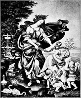 Picture 86 of 101 from The art of the Italian renaissance; a handbook for students and travellers (1903), leaf 259